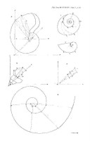Moseley - On the Geometrical Forms of Turbinated and Discoid Shells (1838)
