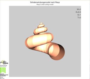 Modèle de coquille selon Raup - Programmation réalisée par Johan Renaudie et design par David Ware