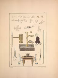 Tab-II. " Quelques particules du sang des mollusques testacés grossies au microscope et matériel pour l'observation "