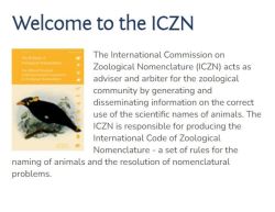 ICZN