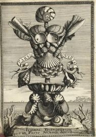 Recreatio mentis et oculi in observatione animalium testaceorum curiosis naturae inspectoribus…- Trophée de coquilles - P. Buonani (684)