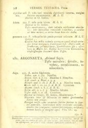 Linné description de Argonaute Argo