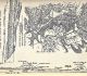 Gites coquilliers le long du chemin du Fond Couturier - Excursion de Cuise La motte - C.Velain - p713 - Bulletin SGF (1878)