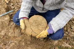 Gros plan sur la bête. Photo Aude Bouillé