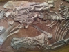 Dinosaure Tenontosaure 5 - jurassique USA
