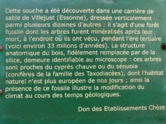 Panneau d'information devant la souche au MNHN