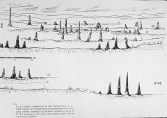 Vue en (fausse) perspective de type axonométrique du paléosol. Jean Claude Koeniguer