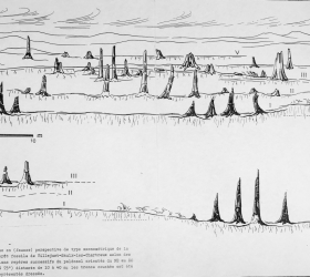 Vue en (fausse) perspective de type axonométrique du paléosol. Jean Claude Koeniguer
