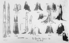 Relevé des différentes formes de souches. Jean Claude Koeniguer