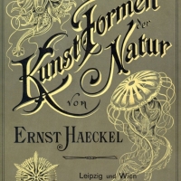 Ernst Haeckel "Kunst Formen von der Natur" (1904) - "Formes artistiques de la nature"