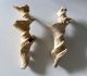 Fragments de columelles de ..cerithium giganteum - Grignon (Lutétien)