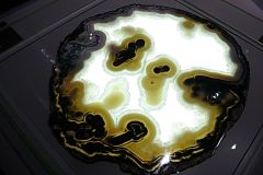 Agate -  Mnhn Collection Roger Caillois - © Claude Hy