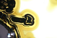 Agate -  Mnhn Collection Roger Caillois - © Claude Hy