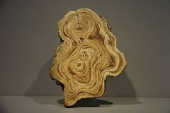 Agate -  Mnhn Collection Roger Caillois - © Claude Hy