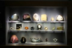 Vitrine collection de Roger Caillois - © Claude Hy