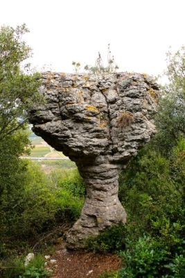 Bénitier montagne Alaric (2015) - Photo Thierry Raynaud et Michel Marsenach - Mairie de Floure (11)