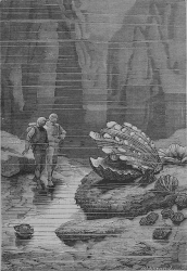 La grotte. Illustration par Alphonse de Neuville. Gravé par Hildibrand J. -Hetzel, 1870.