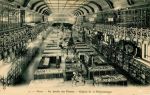 1900 - Galerie de Paléontologie
