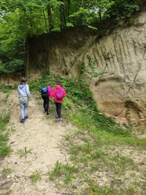 Visite de la falunière