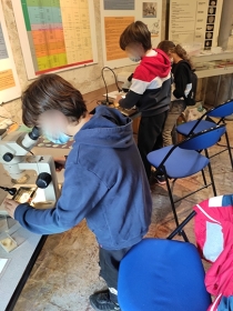 Travaux pratiques