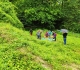 Visite de la falunière