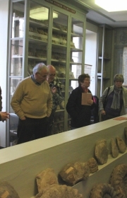 Dans la galerie de Paléontonlogie