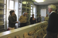 Dans la galerie de Paléontonlogie