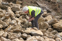Hervé aux prises avec une ammonite.....